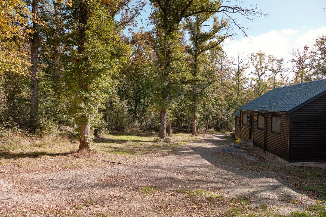 Chalet D'Un Ami Somme-Leuze Εξωτερικό φωτογραφία